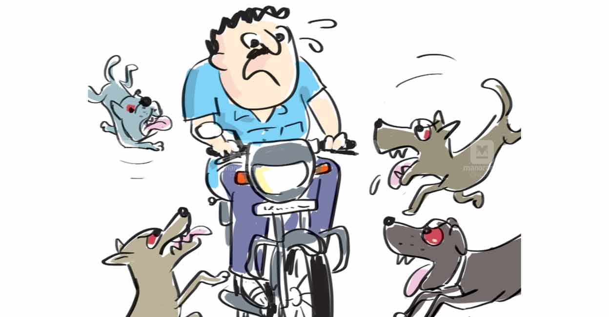 ജില്ലയിലെ തെരുവുനായശല്യത്തിന് പരിഹാരമില്ല Stray Dog Rescue Kerala