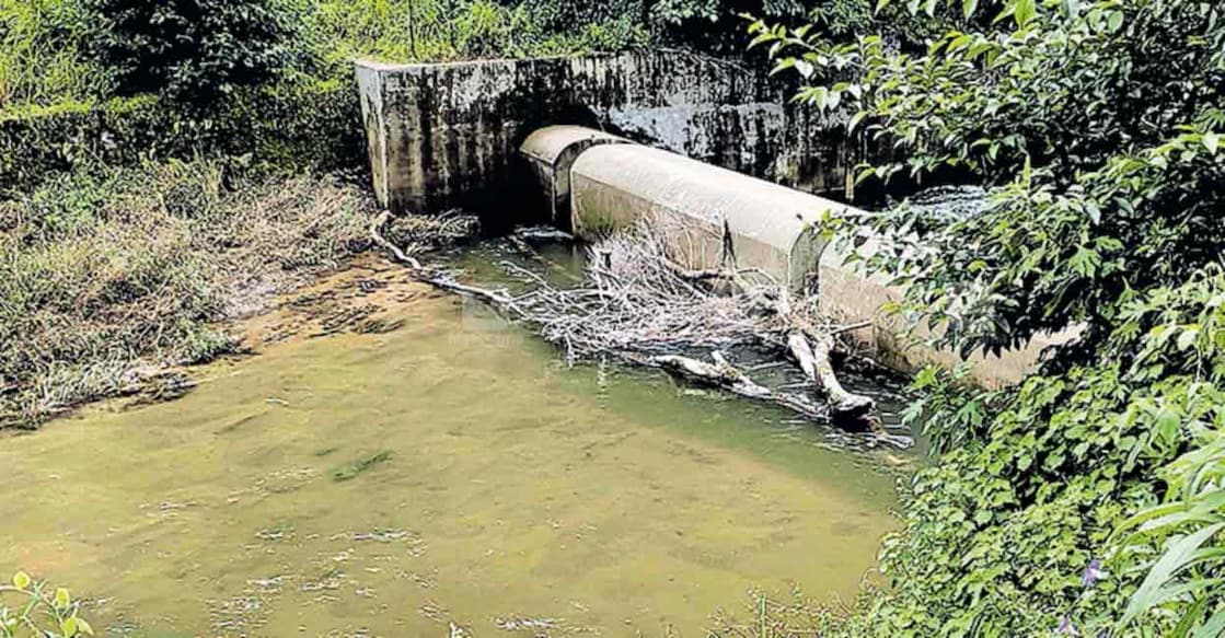 പെരിയവര കവലയിൽ നിർമിച്ച തടയണയിൽ അടിഞ്ഞുകിടക്കുന്ന മരങ്ങൾ.  