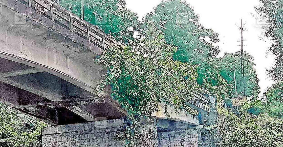 കാളിയാർ പാലത്തിന് ഭീഷണിയായി വളർന്നു നിൽക്കുന്ന ആൽമരം.