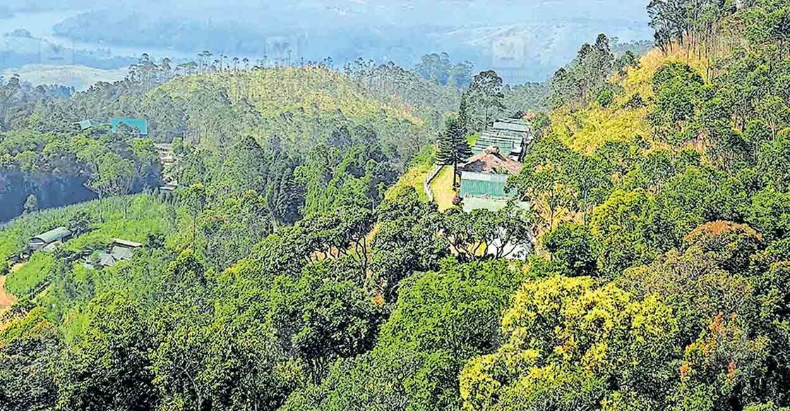 idukki-chinnakkanal-view ചിന്നക്കനാൽ പാപ്പാത്തിച്ചോലയിൽ നിന്നുള്ള കാഴ്ച.