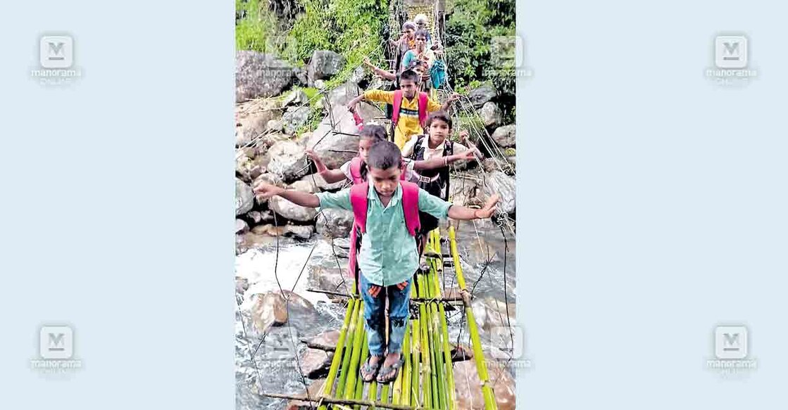 കള്ളക്കുട്ടി കുടിയിൽ നല്ലതണ്ണി ആറിനു കുറുകെ കുടിനിവാസികൾ നിർമിച്ചിരിക്കുന്ന ഈറ്റപ്പാലത്തിലൂടെ യാത്ര ചെയ്യുന്ന കുട്ടികൾ.   
