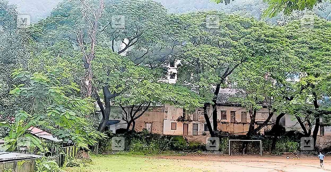 അടിമാലി ഗവ. ഹൈസ്കൂൾ മൈതാനത്ത് അപകടഭീഷണി ഉയർത്തുന്ന മരങ്ങൾ  

