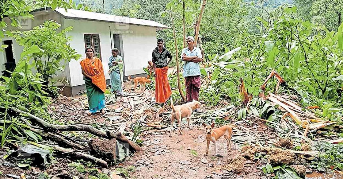 കുറത്തിക്കുടിയിൽ വീടിനോടു ചേർന്നുള്ള കൃഷി ദേഹണ്ഡങ്ങൾ 
കാട്ടാന നശിപ്പിച്ച നിലയിൽ.  
