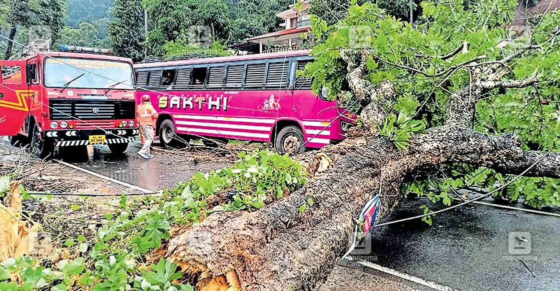അടിമാലി– കുമളി ദേശീയ പാതയിൽ അടിമാലി ടൗണിന് സമീപം കടപുഴകി സ്വകാര്യ ബസിന് മുകളിൽ പതിച്ച വൻമരം.