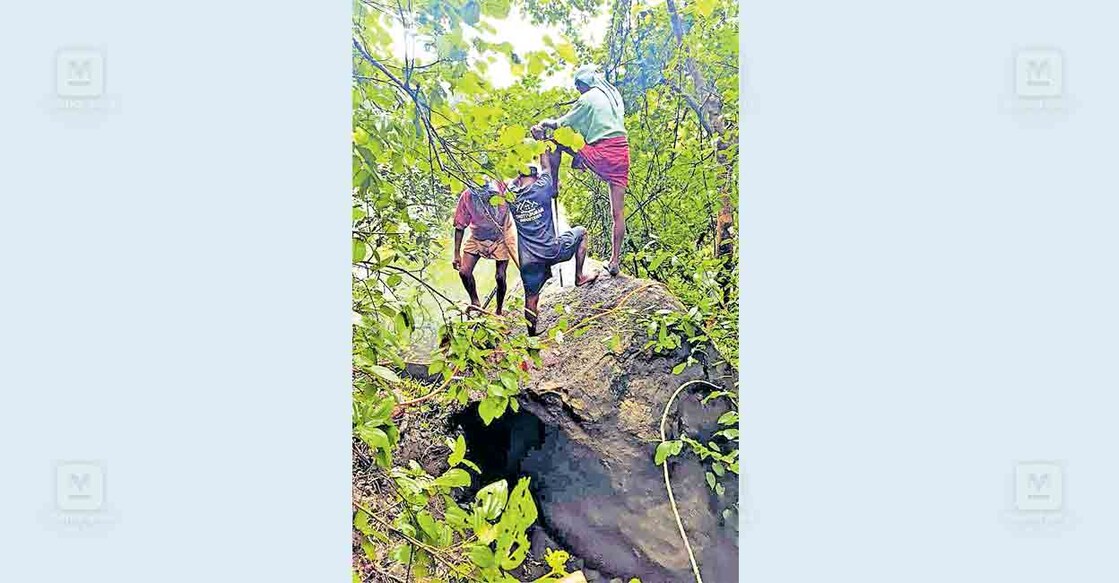 കൊലുമ്പൻ കോളനിയിൽ അപകടഭീതി സൃഷ്ടിക്കുന്ന പാറ 
പൊട്ടിച്ചുനീക്കുന്ന ജോലികൾ പുരോഗമിക്കുന്നു.  
