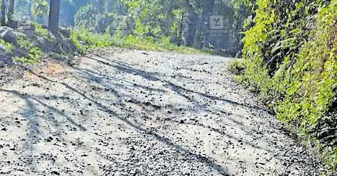 തകർന്നു കിടക്കുന്ന പെരുമ്പൻകുത്ത് ആറാംമൈൽ– അമ്പതാംമൈൽ റോഡ്.  