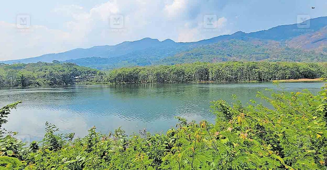 മലങ്കര ജലാശയത്തിന്റെ മഴപ്രദേശം. 