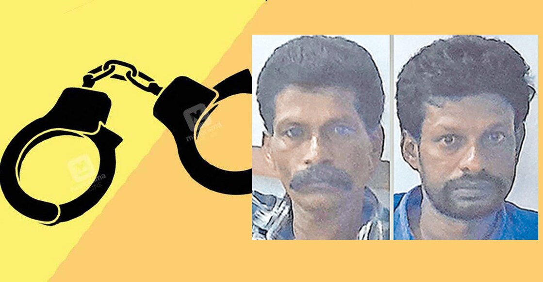 റോയി ഏബ്രഹാം, മനോജ്
