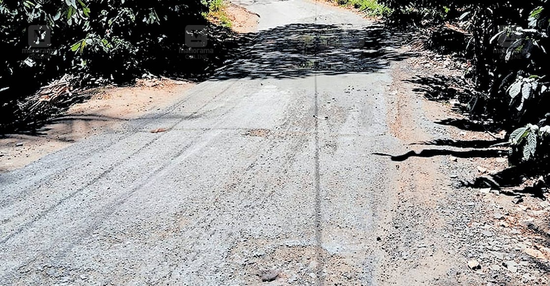 തകർന്നു കിടക്കുന്ന നത്തുകല്ല്- അടിമാലി റോഡിന്റെ ഭാഗമായ 
ഈട്ടിത്തോപ്പിൽ നിന്നുള്ള ദൃശ്യം.  