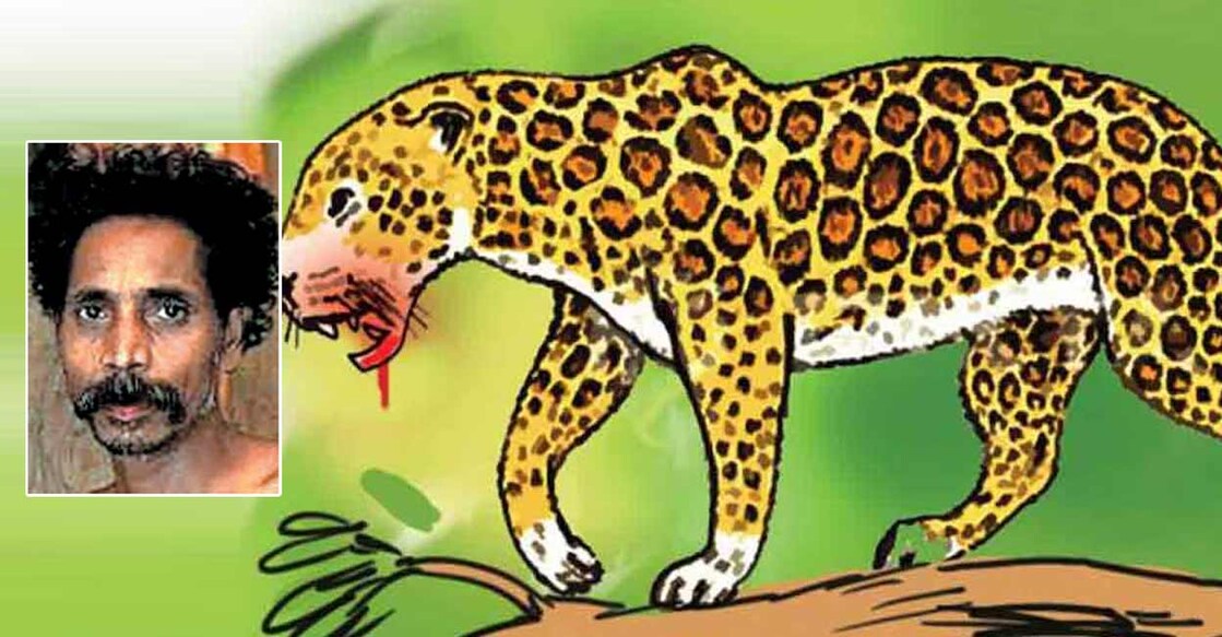 leopard-attack
