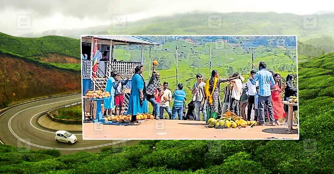 munnar-view-point