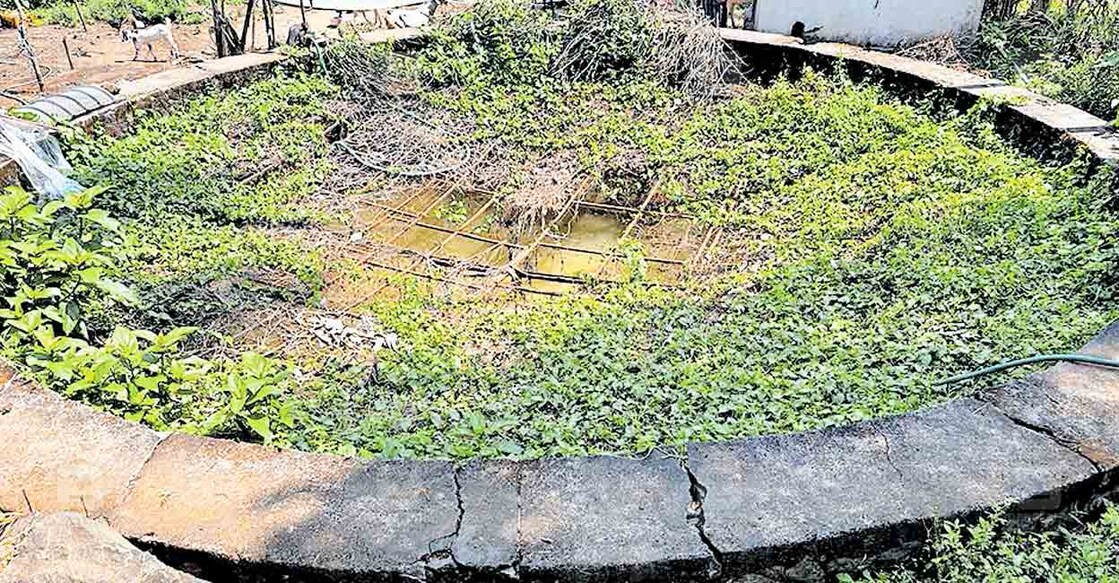 ns6-2-munnar-drinking-water-issue ഗാന്ധിനഗർ ശുദ്ധജല പദ്ധതിയുടെ ഭാഗമായ കുളം ഉപേക്ഷിക്കപ്പെട്ട നിലയിൽ.