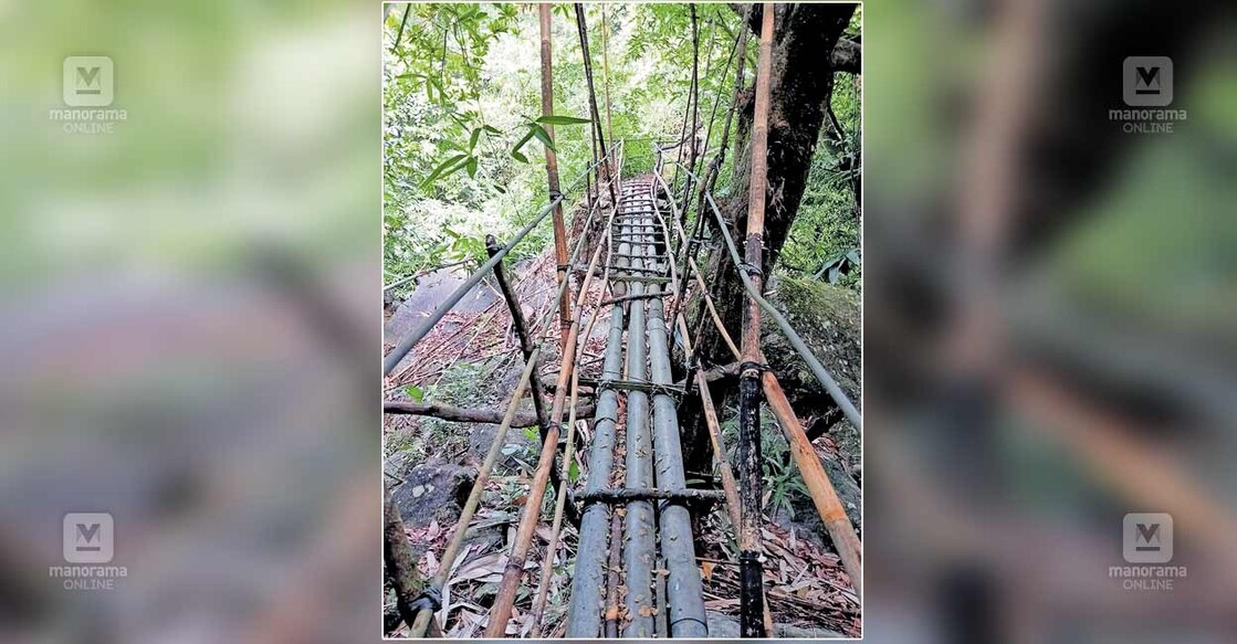 road-issue പതിപ്പള്ളി തെക്കുംഭാഗം – ഇടാട് ഗ്രാമങ്ങളെ ബന്ധിപ്പിക്കുന്ന താൽക്കാലിക നടപ്പാലം.