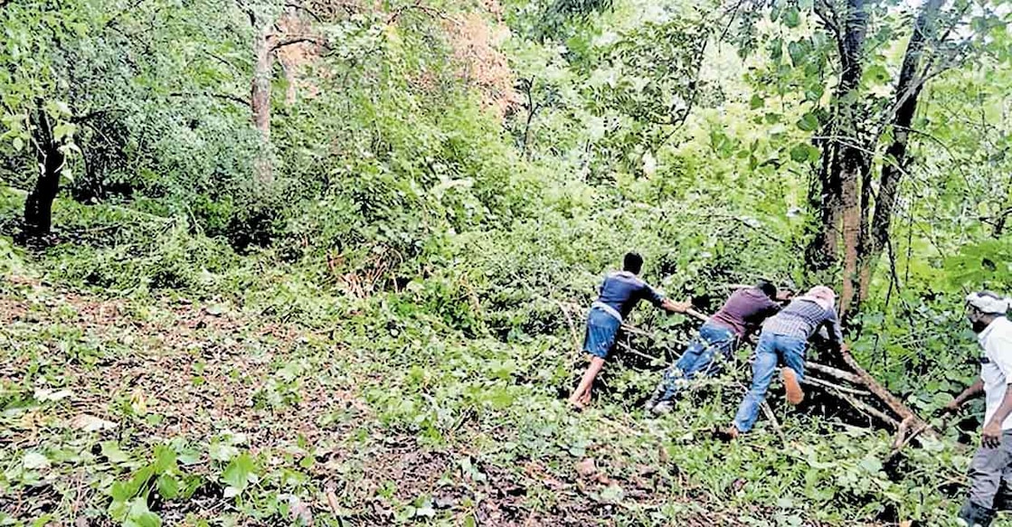 kattapana-fence വന്യമൃഗ ശല്യത്തിന് പരിഹാരം കാണാൻ സൗരോർജ വേലി സ്ഥാപിക്കുന്നതിനു മുന്നോടിയായി കാഞ്ചിയാർ ഡിവിഷനു കീഴിലുള്ള വനാതിർത്തി നാട്ടുകാരുടെ സഹകരണത്തോടെ തെളിച്ചപ്പോൾ.