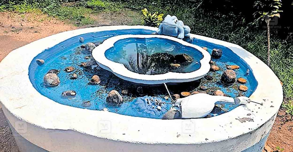 mariyapuram-waterlilly-pond മരിയാപുരത്ത് സാമൂഹിക വിരുദ്ധർ നശിപ്പിച്ച സെന്റ് മേരീസ് എൽപി സ്കൂളിനു മുന്നിലെ ആമ്പൽ കുളം.