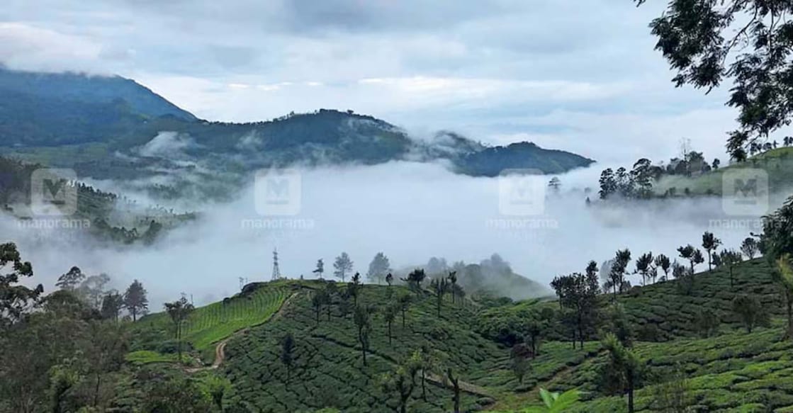munnar munnar