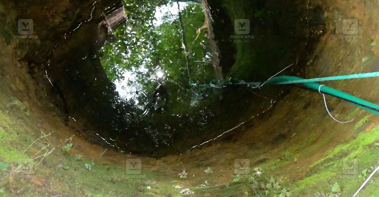 Wedding guests dumped food waste into a well in Trikaripur, Kerala, after being caught on camera. They were fined by local authorities for the.food waste dumping, wedding guests penalised, Trikaripur well pollution, Kasaragod incident, tourist bus waste, sanitary act caught on camera, local outrage Elambachi, fine for pollution, water body contamination, responsible waste disposal, CCTV evidence, preventing littering, environmental protection Kerala, mini-estate water source, malicious dumping