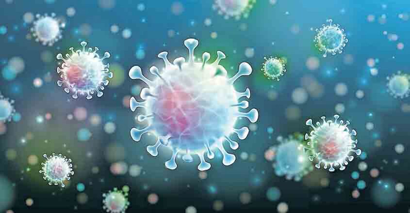 corona-virus-covid corona-virus-covid