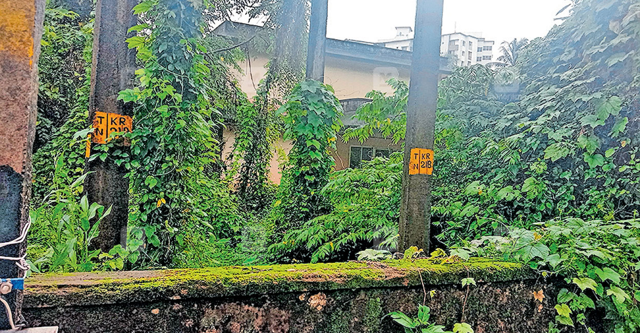 കാടുമൂടി, ഭീതിപരത്തി ജല അതോറിറ്റി ഭൂമി; പാമ്പും മുള്ളൻപന്നിയും ഉടുമ്പും