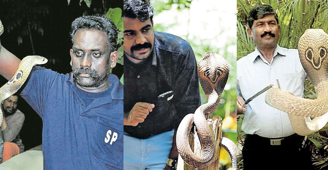 'അന്നു സാഹസികതയ്ക്കു വേണ്ടിയാണതു ചെയ്തത്,പക്ഷേ...'; അനുഭവങ്ങൾ പങ്കിട്ട്