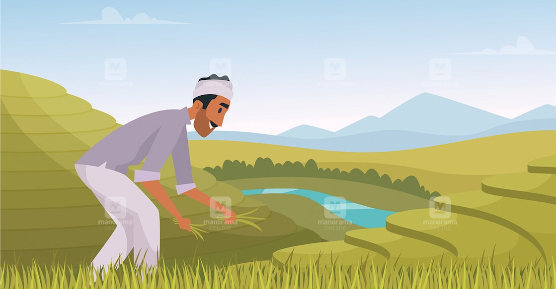 Indian agriculture landscape. Farmer working in indian rice fields rural worker vector cartoon background, Indian agriculture landscape. Farmer working in indian rice fields rural worker vector cartoon background Indian agriculture landscape. Farmer working in indian rice fields rural worker vector cartoon background, Indian agriculture landscape. Farmer working in indian rice fields rural worker vector cartoon background