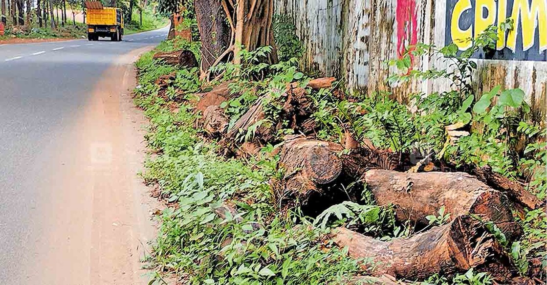 6road തളിപ്പറമ്പ്–ഇരിട്ടി സംസ്ഥാനപാതയിൽ കുയിലൂർ പെട്രോൾ പമ്പിന് സമീപം മുറിച്ചിട്ട മരങ്ങൾ.