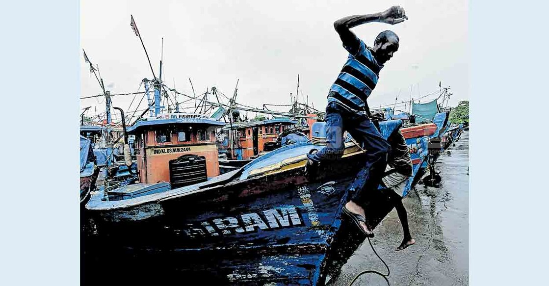   കരയിലേക്ക്...: ട്രോളിങ് നിരോധനത്തെ തുടർന്ന് അഴീക്കൽ ഹാർബറിൽ ബോട്ട് കരയ്ക്കടിപ്പിച്ച ശേഷം ബോട്ടിൽ നിന്നു ചാടിയിറങ്ങുന്ന തൊഴിലാളി.	