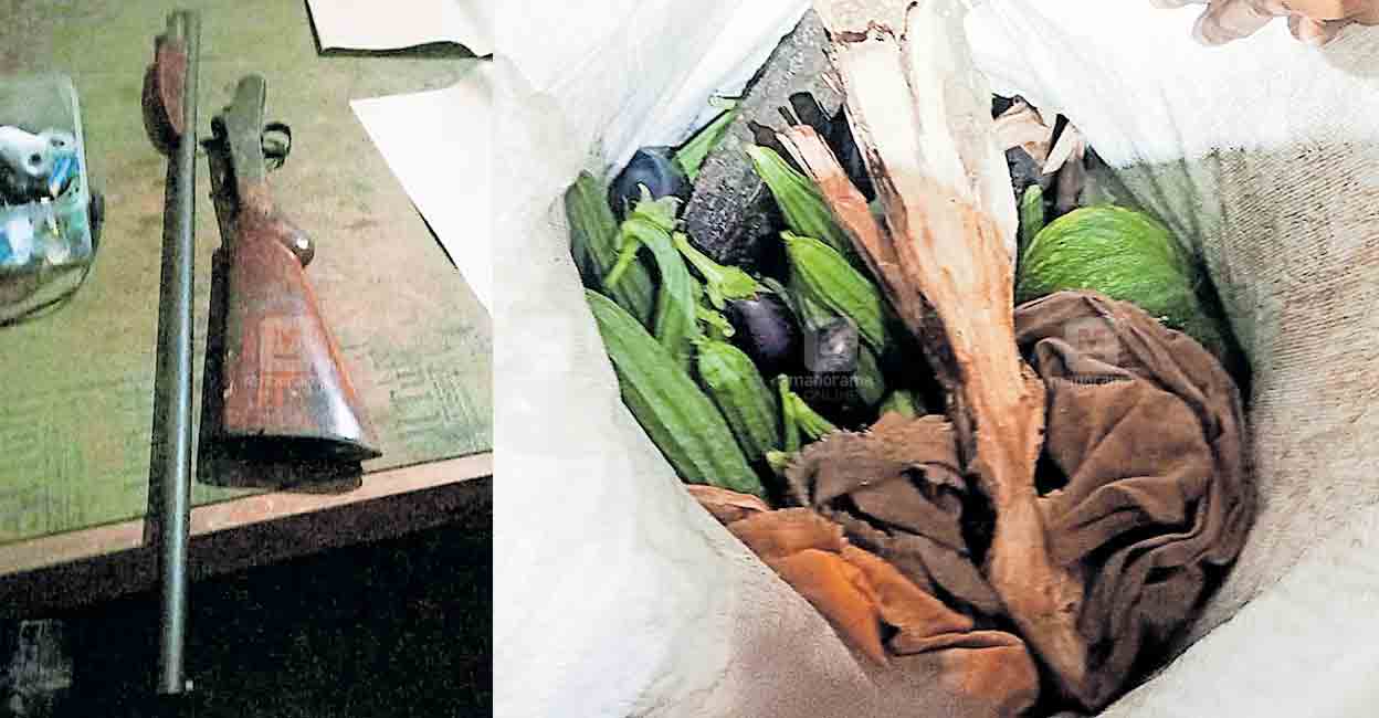 ചന്ദനമുട്ടിയും തോക്കും കണ്ടെത്തിയ സംഭവം അന്വേഷണം ശക്തമാക്കി