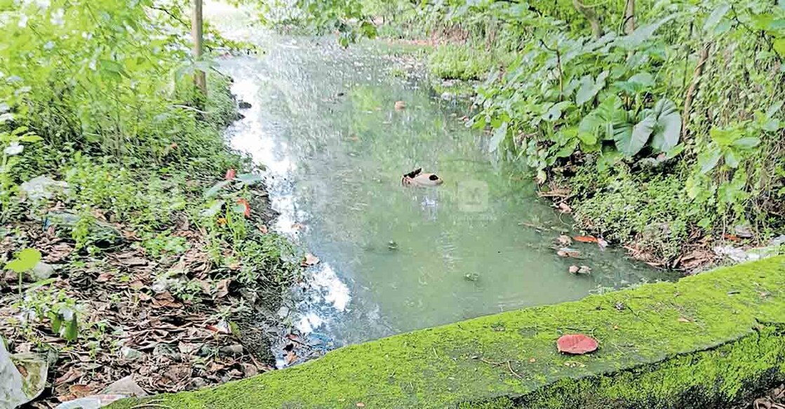 തലശ്ശേരി റെയിൽവേ സ്റ്റേഷൻ ഒന്നാം പ്ലാറ്റ് ഫോമിലേക്കു ഗു‍ഡ്സ് ഷെ‍ഡ് റോഡിൽ നിന്നുള്ള വടക്കുഭാഗത്തെ പ്രവേശന കവാടത്തിന് സമീപം കെട്ടിനിൽക്കുന്ന അഴുക്കുവെള്ളം.  