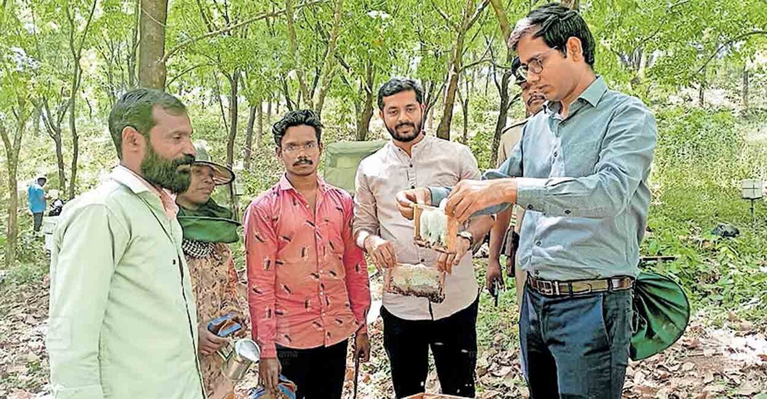 kannur-sandeepkumar ആറളം ഫാമിലെ തേനീച്ചക്കൃഷിയുടെ ആദ്യ വിളവെടുപ്പ് തലശ്ശേരി സബ് കലക്ടർ ഡോ.സന്ദീപ് കുമാർ ഐഎഎസ് നിർവഹിക്കുന്നു.