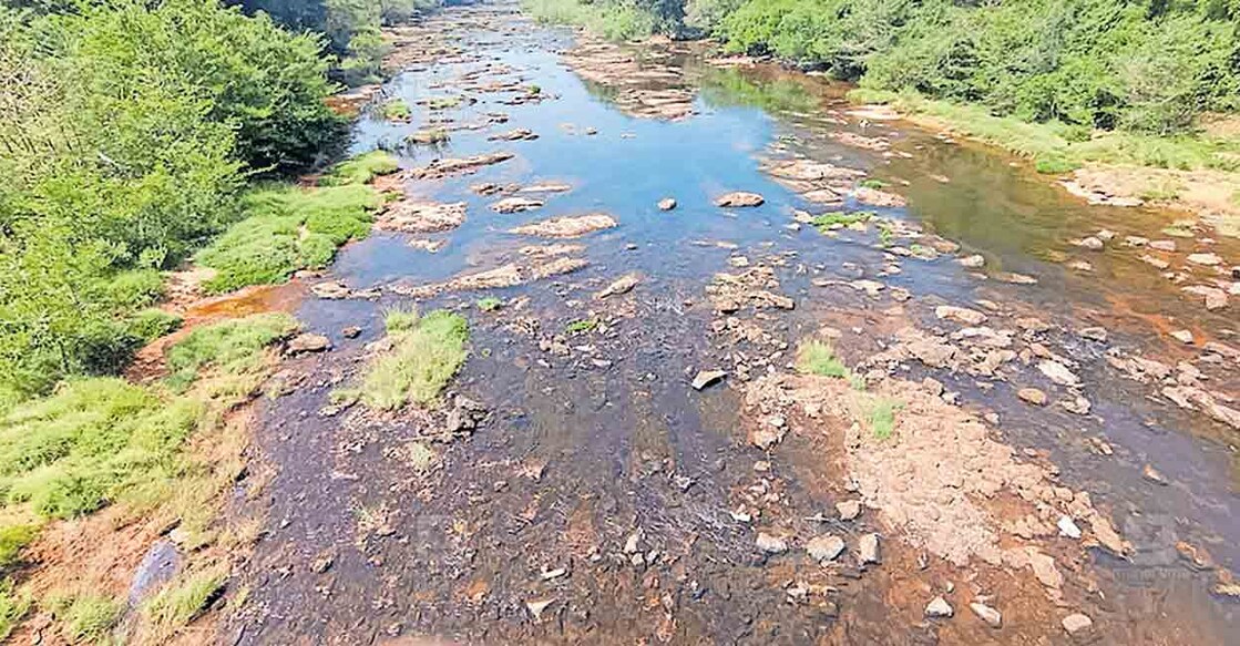 തേജസ്വിനിപ്പുഴയുടെ കൊല്ലാട ഭാഗം വറ്റിവരണ്ട നിലയിൽ.  