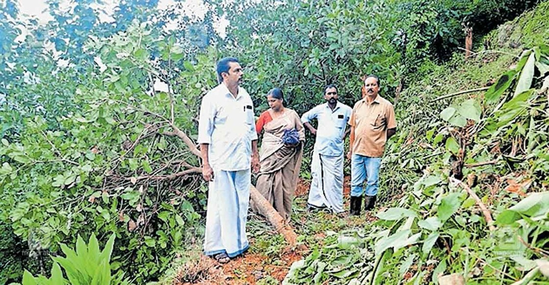കാട്ടാന കൃഷി നശിപ്പിച്ച കൊട്ടിയൂർ ഒറ്റപ്ലാവിലെ മാളിയേക്കൽ ജോയിയുടെ കൃഷിയിടത്തിൽ കൊട്ടിയൂർ പഞ്ചായത്ത് പ്രസിഡന്റ് റോയ് നമ്പുടാകവും പഞ്ചായത്ത് അംഗങ്ങളും പരിശോധന നടത്തുന്നു.