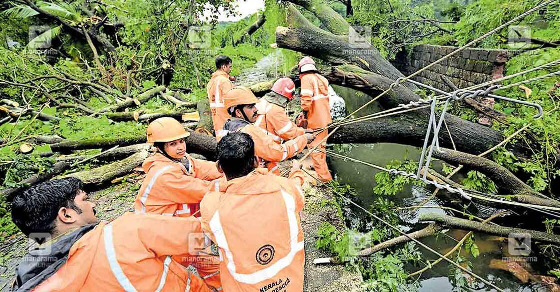 കഴിഞ്ഞ ദിവസം രാത്രി വീശിയടിച്ച ശക്തമായ കാറ്റിൽ കണ്ണൂർ മഞ്ചപ്പാലത്ത് വൈദ്യുതി ലൈനിലേക്കു വീണ കൂറ്റൻ മരം മുറിച്ചുമാറ്റാനുള്ള അഗ്നിരക്ഷാസേനയുടെ ശ്രമം.  ചിത്രം: മനോരമ  