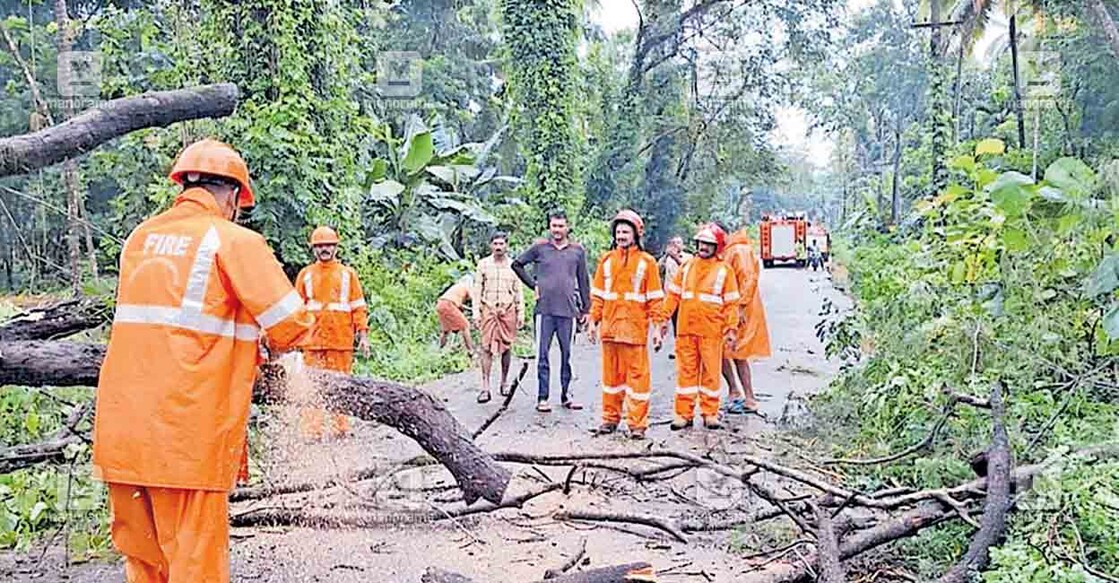 കൊളോളം-മയ്യിൽ റോഡിൽ പൊട്ടിവീണ മരം ഫയർ ഫോഴ്സ് ഉദ്യോഗസ്ഥർ മുറിച്ച് നീക്കുന്നു. 