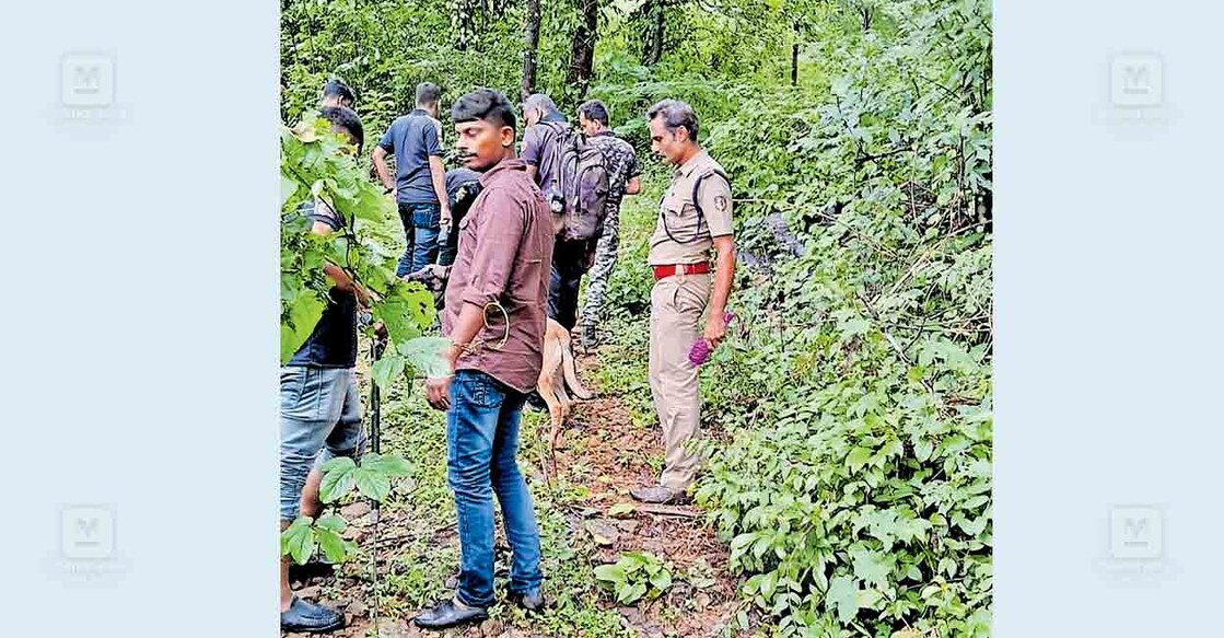 അയ്യൻകുന്ന് കളിതട്ടുംപാറയിൽ ബോംബ്, ഡോഗ് സ്ക്വാഡുകളുടെ സഹായത്തോടെ സ്ഫോടക വസ്തുക്കൾ കണ്ടെത്താൻ പരിശോധന നടത്തുന്നു
