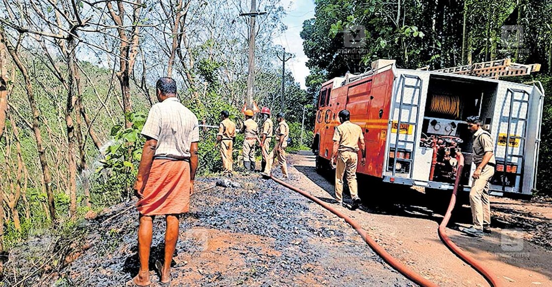 rubber-fire-burn പെരുങ്കുടലിലെ റബർത്തോട്ടത്തിൽ ഉണ്ടായ തീപിടിത്തം അഗ്നിരക്ഷാസേന അണയ്ക്കുന്നു.