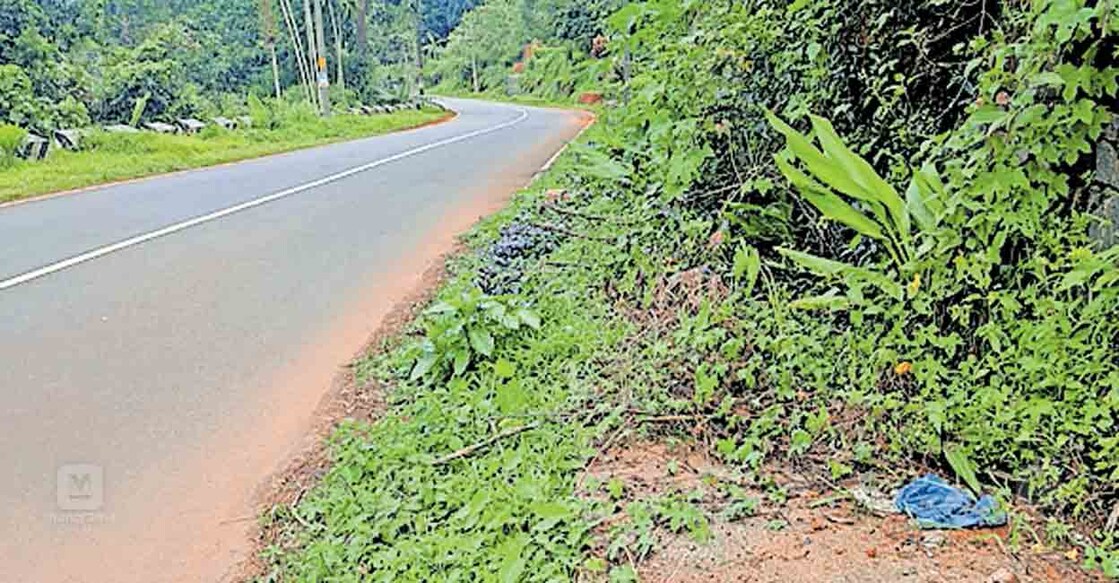 മഞ്ഞക്കാട്- തിരുമേനി- മുതുവം റോഡിലെ ഫുട്പാത്ത് കാടുകയറി മൂടിയ നിലയിൽ.  

