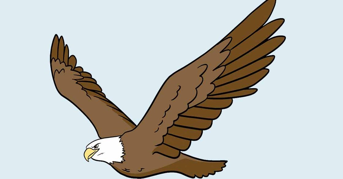 eagle