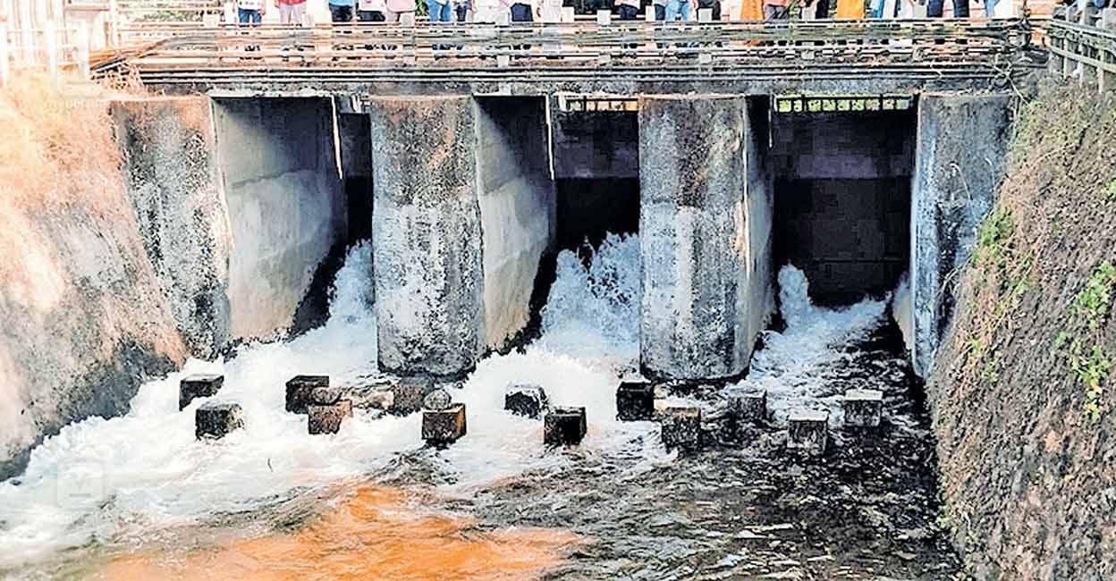 പഴശ്ശി കനാലിൽ വെള്ളം തുറന്നു വിട്ടു: കൃഷിയിടങ്ങളിൽ പ്രതീക്ഷയുടെ നനവ് | Mattannur | Pazhassi project | irrigation | canal | water release | Kerala agriculture | farming | farmers