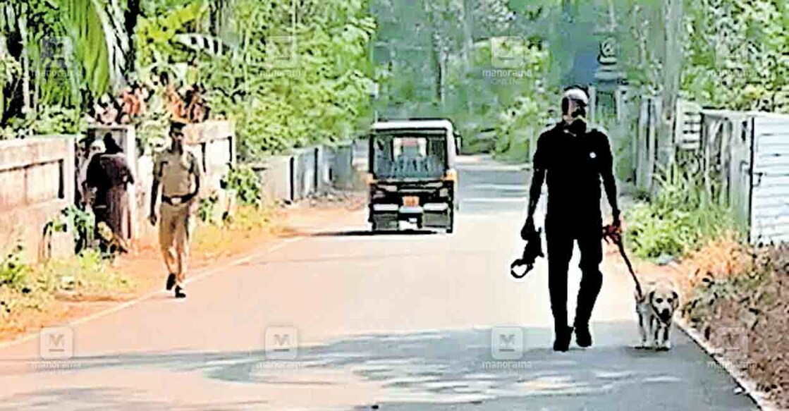 മാങ്ങാട്ടിടം കോയിലോട് 13 വയസ്സുകാരനെ അടിച്ചുവീഴ്ത്തി വീട്ടിൽ കവർച്ച നടത്താൻ ശ്രമിച്ച സംഭവത്തിൽ പൊലീസ് നായ സ്ഥലത്ത് പരിശോധന നടത്തുന്നു.