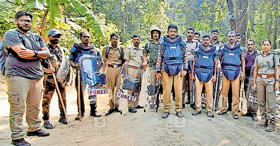 ചതിരൂർ നീലായിൽ പുലി സാന്നിധ്യ മേഖലയിൽ ആറളം അസിസ്റ്റന്റ് വൈൽഡ് ലൈഫ് വാർഡൻ രമ്യ രാഘവൻ, ആർആർടി ഡപ്യൂട്ടി റേഞ്ചർ എം.ഷൈനികുമാർ, കീഴ്പ്പള്ളി സെക്‌ഷൻ ഫോറസ്റ്റർ കെ.പ്രകാശൻ എന്നിവരുടെ നേതൃത്വത്തിലുള്ള സംഘം തിരച്ചിലിനായി ഇറങ്ങിയപ്പോൾ.