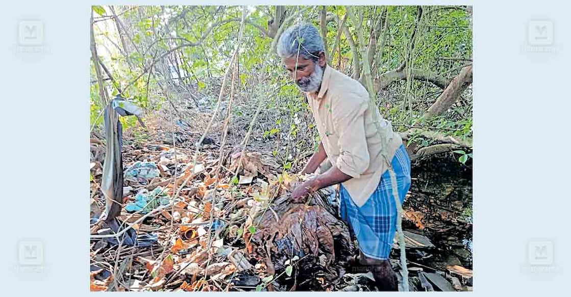 kannur-r-raveendran കൊടുവള്ളി പുഴയിലെ കണ്ടൽക്കാടുകൾക്കിടയിൽ നിന്ന് കണ്ടൽ സുരേന്ദ്രൻ എന്ന വി.രവീന്ദ്രൻ മാലിന്യം നീക്കുന്നു