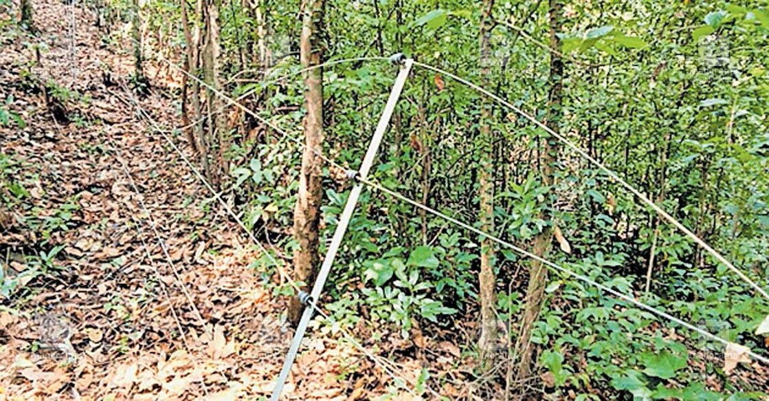പാലത്തുംകടവ് – കരി അതിർത്തിയിൽ സോളർ വേലി തകർന്നു കിടക്കുന്നു.  