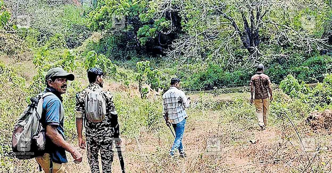 kannur-forest-officers ആറളം ഫാമിൽ നിന്നു പന്നിപ്പടക്കം പൊട്ടിയാണു കാട്ടാന ചെരിഞ്ഞതെന്ന സംശയത്തിൽ ബോംബ് ഡിറ്റക്ഷൻ ആൻഡ് ഡിസ്പോസൽ സ്ക്വാഡിന്റെ സഹായത്തോടെ വനം വകുപ്പ് സംഘം ഫാമിൽ സ്ഫോടക വസ്തുക്കൾക്കായി തിരച്ചിൽ നടത്തുന്നു