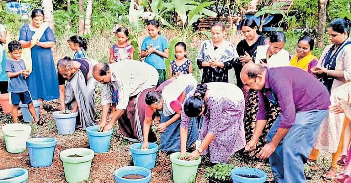 മച്ചിയിൽ ആരംഭിച്ച മൺചട്ടിയിൽ പച്ചക്കറിതൈ നടീൽ പദ്ധതിയുടെ ഉദ്ഘാടനം കൃഷി ഓഫിസർ പി.അഞ്ജു നിർവഹിക്കുന്നു.