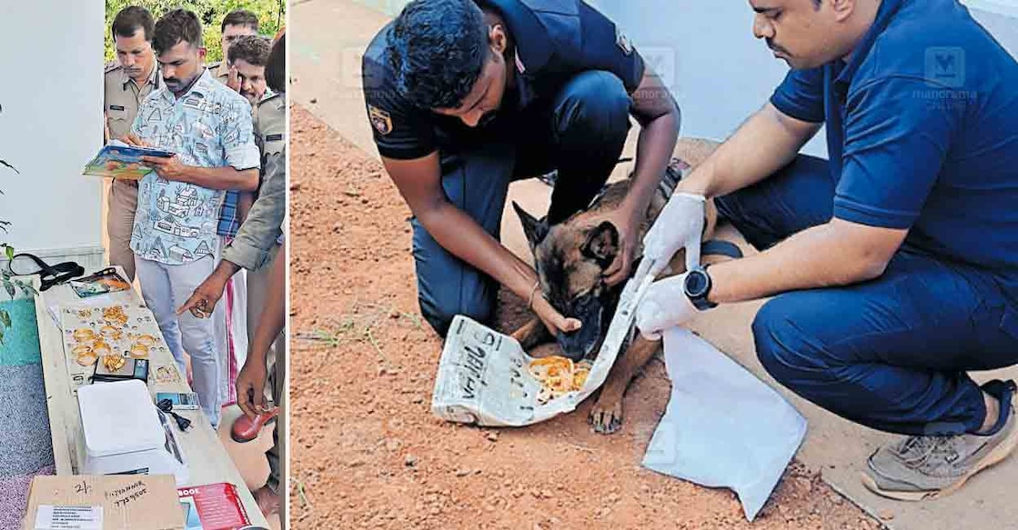knr-gold-missing-theft 1) കരിവെള്ളൂർ പലിയേരിയിൽ നവവധുവിന്റെ തിരികെ കിട്ടിയ സ്വർണാഭരണങ്ങൾ പൊലീസ് പരിശോധിക്കുന്നു. 2)
തിരികെ കിട്ടിയ സ്വർണാഭരണങ്ങൾ പൊലീസ് നായയെ കൊണ്ട് മണപ്പിക്കുന്നു.