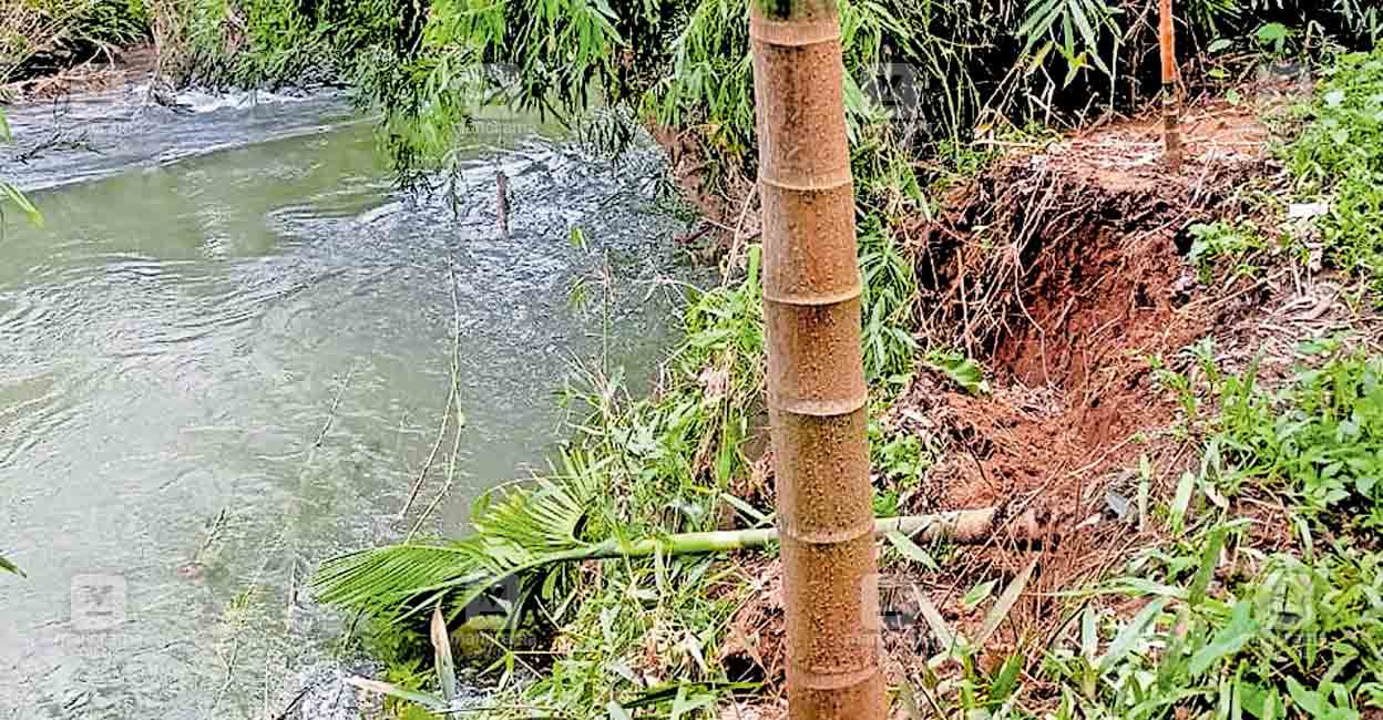 മലയോരമേഖലയിലെ പുഴകളിൽ കരയിടിച്ചിൽ തുടങ്ങി; ദുരിതം | Alakode | erosion ...