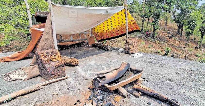kannur-wild-elephant-attack-5