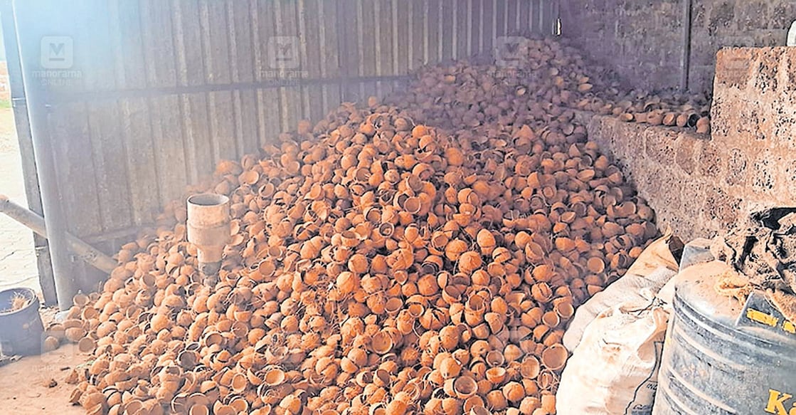 പണ്ട് വലിച്ചെറിഞ്ഞ ചിരട്ടയ്ക്കും നല്ലകാലം; ഒരു കിലോയ്ക്ക് 32 രൂപ വരെ ...