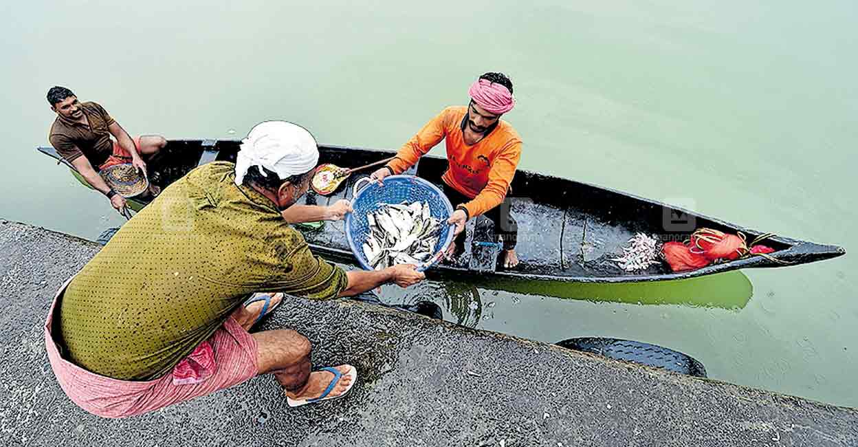 റെഡ് അലർട്ട് ചാറ്റലായി; ഇന്ന് ഓറഞ്ച് അലർട്ട് Chances Of Rain In